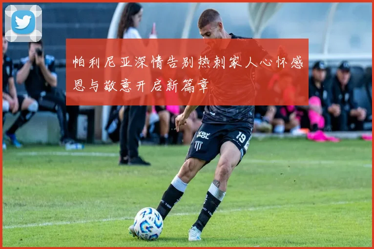 帕利尼亚深情告别热刺家人心怀感恩与敬意开启新篇章