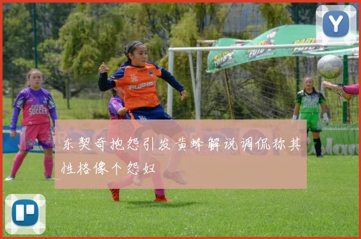 东契奇抱怨引发黄蜂解说调侃称其性格像个怨妇