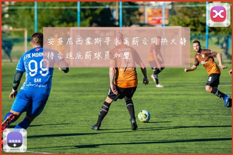 安芬尼西蒙斯寻求高薪合同热火静待合适底薪球员加盟